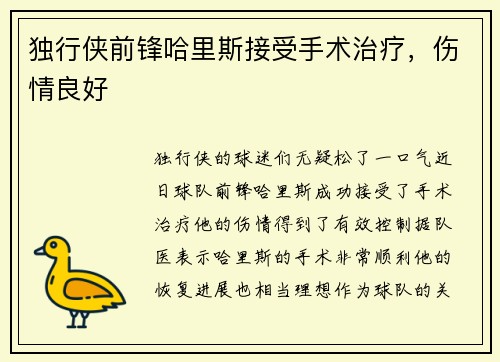 独行侠前锋哈里斯接受手术治疗，伤情良好